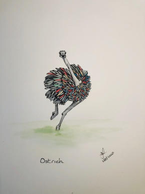 Ostrich